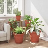  Krožni cvetlični pladenj 24 pcs Kamnito rdeča Ø 23,5 x 2,5 cm, (5000207515) | Shoptok.si