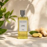 Angel Schlesser Les Eaux D'Un Instant Ginger Cologne Toaletna voda unisex 100 ml | Shoptok.si