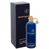 Montale Aoud Ambre parfemska voda 100 ml unisex | shoptok.hr