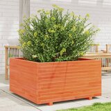 Maison Chic Vrtno cvetlično korito - Cvetlični Lonec voščeno 50x50x49,5 cm trdna borovina, (21789124) | Shoptok.si