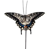 Esschert Design Vrtni količki v kompletu 3 ks iz poliresina Butterfly – | Shoptok.si