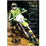 STREET Zvezek A4 Special, mali karo, 42 listov, sortirano, 1 kos | Shoptok.si