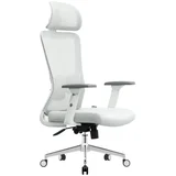Ergonomska kancelarijska stolica Silver Polare