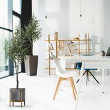 MID.YOU Umetna Rastlina Olive | Shoptok.si