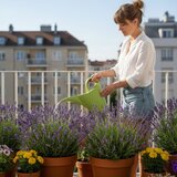  Kanta za zalijevanje Keira 2L - boja zelena | Eponuda.ba