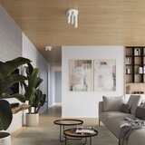 Nice Lamps Bela stropna svetilka Castro – | Shoptok.si