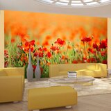  Tapeta - Poppies in shiny summer day 450x270 Cijene