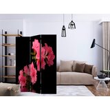 Artgeist PARAVAN 135/172/3 cm črna, pink | Shoptok.si