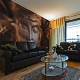  Tapeta - Buddha. Fire of meditation. 450x270 Cijene