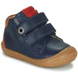Aster Polškornji CHYO pisana | Shoptok.si
