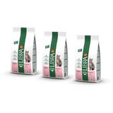 Libra cat adult - losos 3 x 1,5 kg Cene