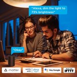 GOVEE Komplet 2x LED prigušiva sijalica Smart MATTER E27/9W/230V 2700-6500K Wi-Fi | Eponuda.com