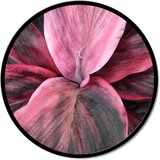 Pintdecor Zidni ukras Dettaglio Floreale | shoptok.hr