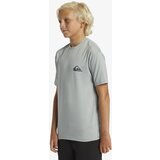 Quiksilver Boys' T-shirt EVERYDAY SURF | Shoptok.si