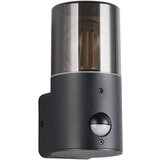 Tri O Zunanja svetilka (višina 17,5 cm) Hoosic – | Shoptok.si