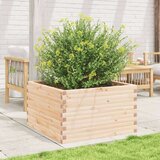  Vrtno cvetlično korito 80x80x45,5 cm trdna borovina | Shoptok.si