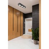 Globo 43100-3 - LED plafonska svetiljka HANGARAU LED/14W/230V 11,7x33,2 cm | Eponuda.com