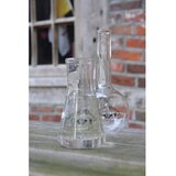 Esschert Design Steklena vaza (višina 23 cm) Natural History – | Shoptok.si