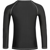 Benlee Lonsdale Men's long-sleeved functional shirt slim fit | Shoptok.si