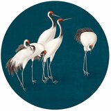  Okrugla fototapeta - Evening by the pond - a group of cranes drawn in dry pastel on a dark turquoise background 230x230 | shoptok.hr