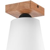  Plafonski luster LULA 1xE27/60W/230V hrast | Eponuda.com