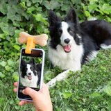  Pripomoček za fotografiranje hišnih ljubljenčkov Pefie InnovaGoods | Shoptok.si