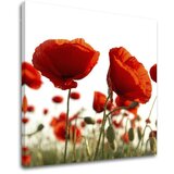  Slike na platnu cveće (moderne slike na platnu) | ePonuda.com