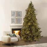 Novogodišnja jelka sa ugrađenim lampicama Argentato, 300cm, 8383 grančica, 8500 lampica, Zelena