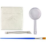  Archaeology Excavation Kit Dinosaur Skeleton Pteranodon 3D Hologram | Shoptok.si