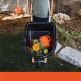 Black & Decker BLACK+DECKER DJEČJA SAMOKOLNICA 20L 3+ G015-BD Black&Decker G015-BD | shoptok.hr