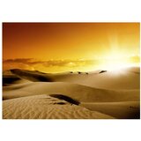  Tapeta - March of camels 250x175 | shoptok.hr