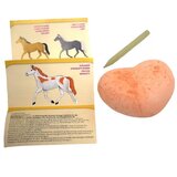 Piatnik Horse Friends žrebec presenečenja Cene