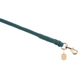  Povodec Duralastik s karabinom - Vintage Green Cene
