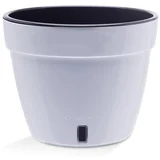 Saksija Asti 4l