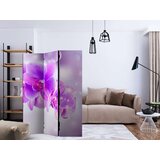  Paravan u 3 dijela - Purple Orchids [Room Dividers] 135x172 | shoptok.hr