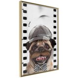  Poster - Dressed Up Pug 40x60 | shoptok.hr
