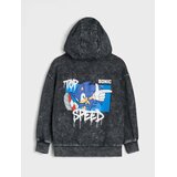 Sinsay Komplet gornjeg dijela trenirke i hlača Sonic the Hedgehog | shoptok.hr