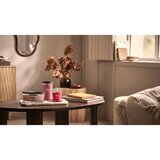 WoodWick Crystal Ginger dišeča sveča z lesenim stenjem 453.6 g | Shoptok.si