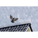 Nature šiljci protiv ptica 3 kom 32 x 11 x 18 cm 6060160 | shoptok.hr