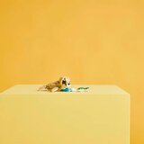 Lego Creator 3in1: Slatki zeko | shoptok.hr