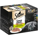 Sheba varijacije u zdjelicama mega pakiranje 96 x 85 g - Sauce Lover