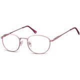 Berkeley naočare za kompjuter 794D | ePonuda.com
