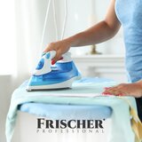 FRISCHER Sredstvo za odstranjevanje vodnega kamna iz likalnika 250ml | Shoptok.si
