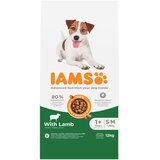  2 kg gratis! 12 kg IAMS Advanced Nutrition - Adult Small & Medium janjetina Cijene