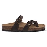 Bioline Japonke 227 INGRASSATO T.MORO Kostanjeva Cene