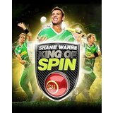 Steam King of Spin [VR] Key GLOBAL | ePonuda.com