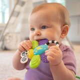 Sassy Flutterby Teether grickalica | shoptok.hr