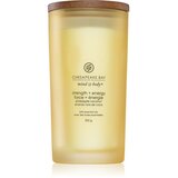 Chesapeake Bay Candle Mind & Body Strength & Energy mirisna svijeća 355 g Cijene