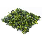 Inter Ceramic UMJETNI ZELENI ZID COIMBRA 50X50CM POLIETILEN ZELENA | shoptok.hr
