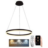  Brilagi - LED prigušiva luster na sajli CIRCLE LED/42W/230V 3000-6500K + daljinski upravljač | Eponuda.com